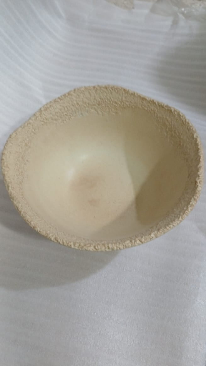 Coral - Bowl - Nude Sand (Beige)