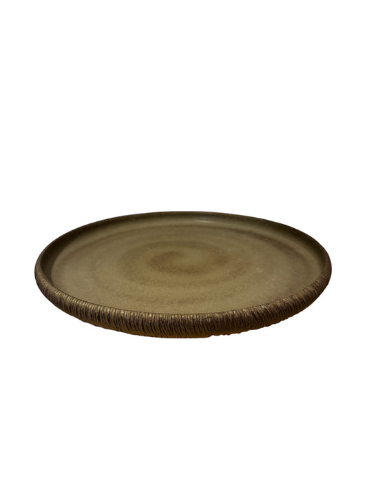 Coco - Flat plate - Shoreline
