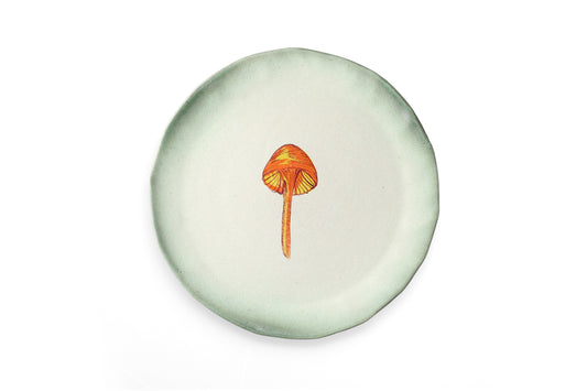 Magic Mushies - Pistara Flat Plate Amber