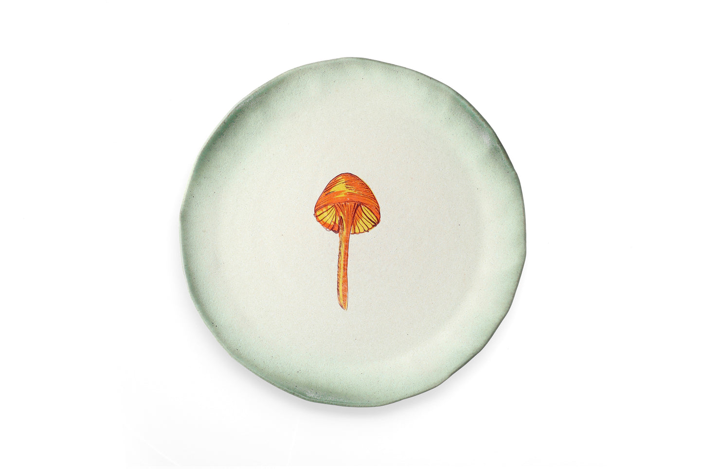 Magic Mushies - Pistara Flat Plate - Amber