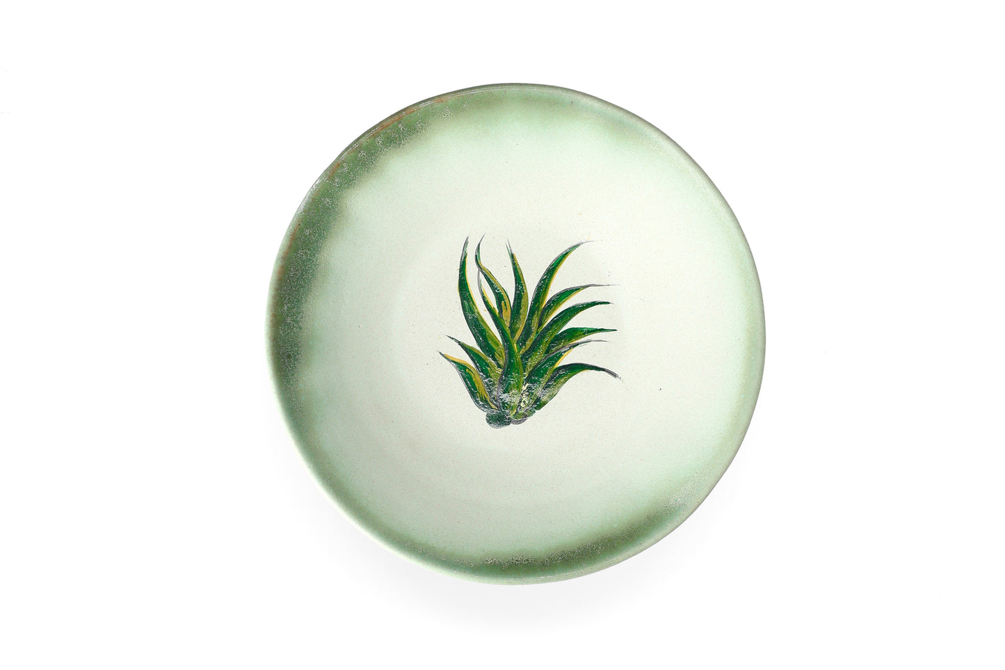 Magic Mushies - Pistara Deep Plate Aloe