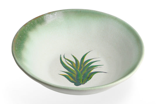 Magic Mushies - Pistara Deep Plate Aloe