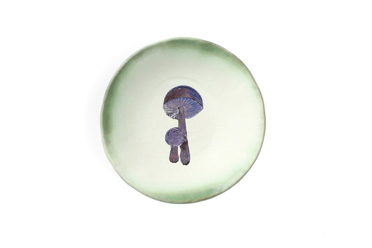 Magic Mushies - Pistara Flat Serving Plate Midnight