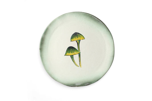 Magic Mushies - Pistara Flat Plate Sunny