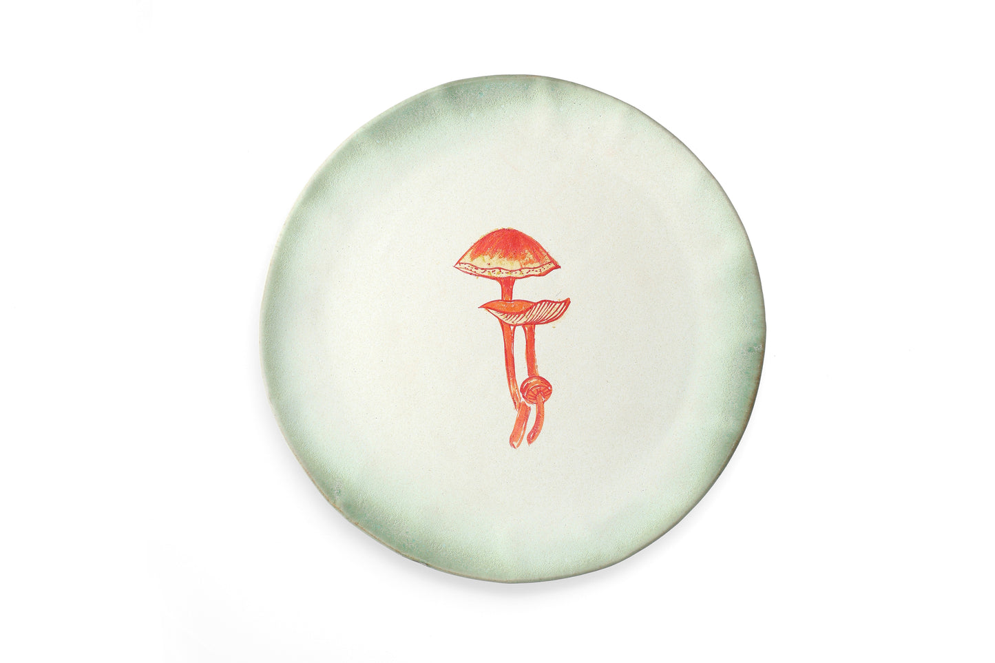Magic Mushies - Pistara Flat Plate - Trio