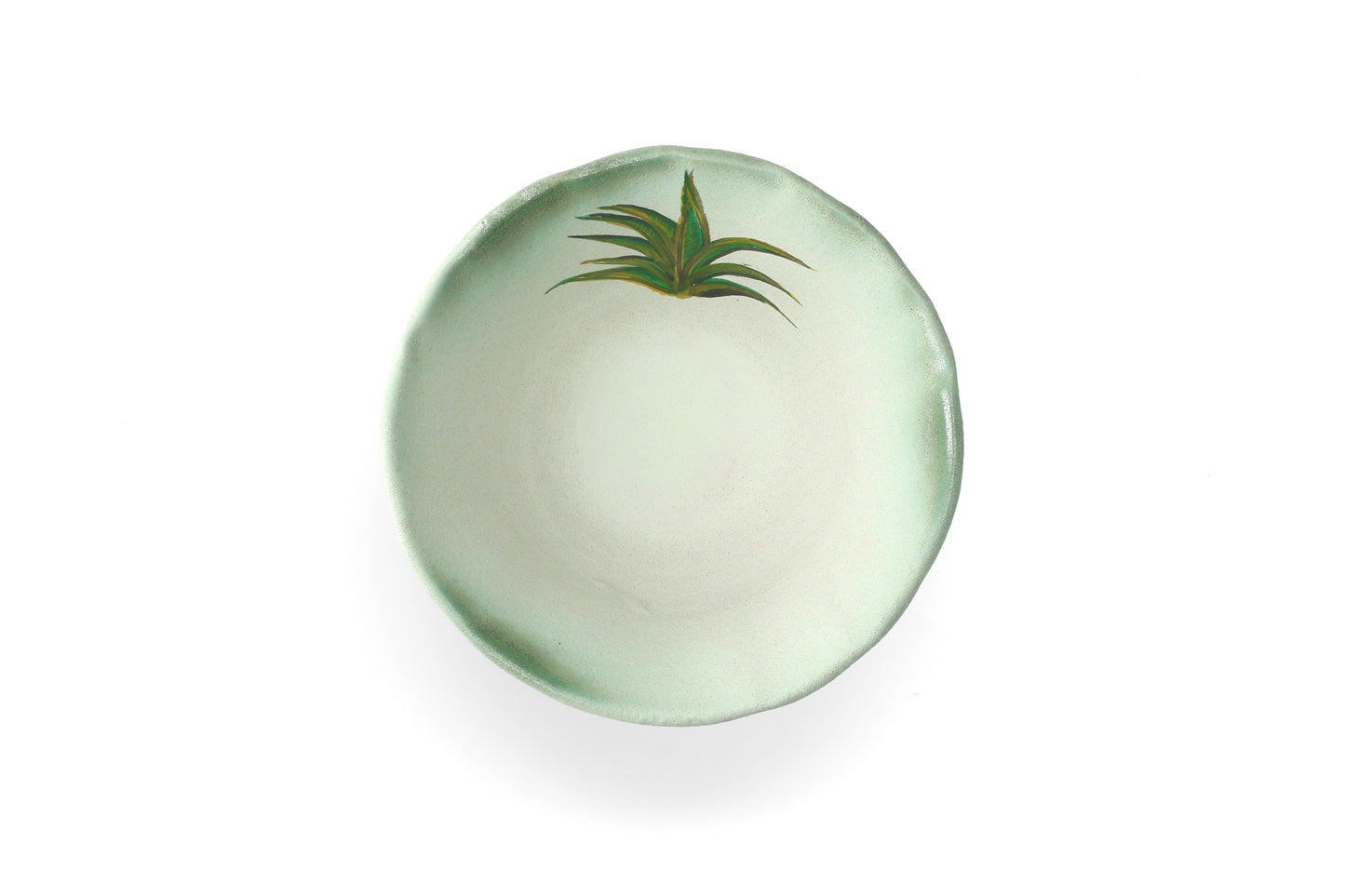 Magic Mushies - Pistara Bowl Aloe