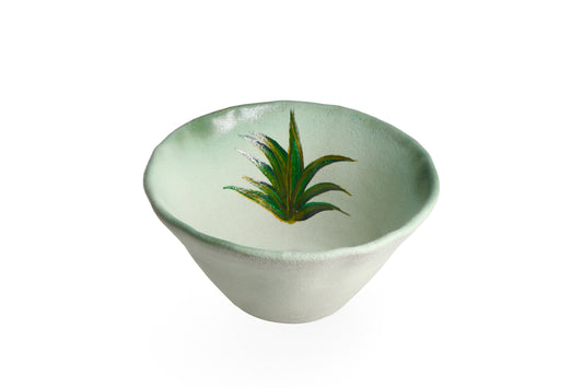 Magic Mushies - Pistara Bowl Aloe