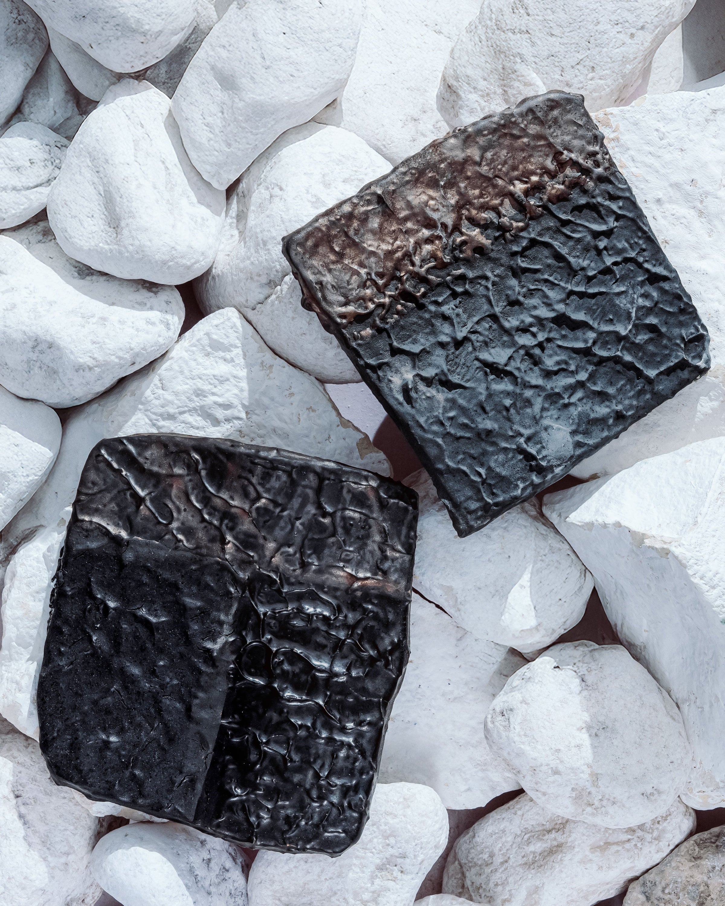 Terra Rocks