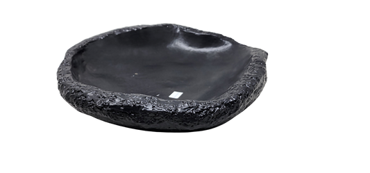 Reef - Oval Platter