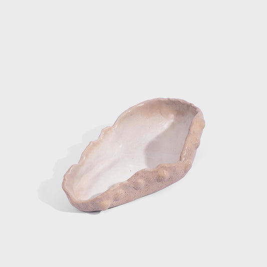 SeaSide - Sea Shell C (Crocodile)