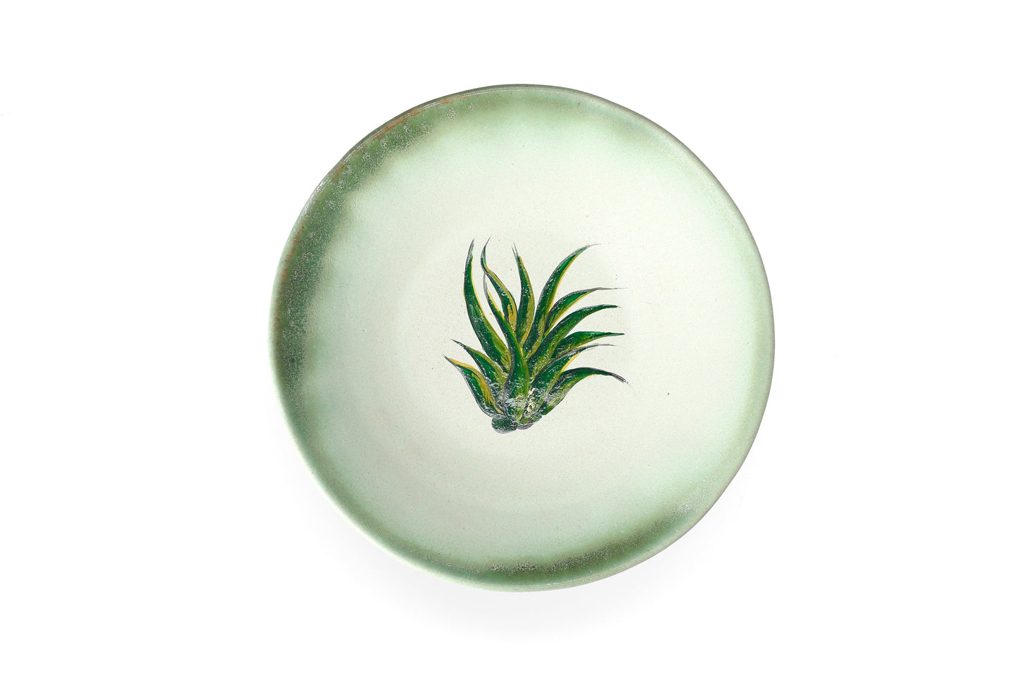 Magic Mushies - Pistara Deep Plate - Aloe