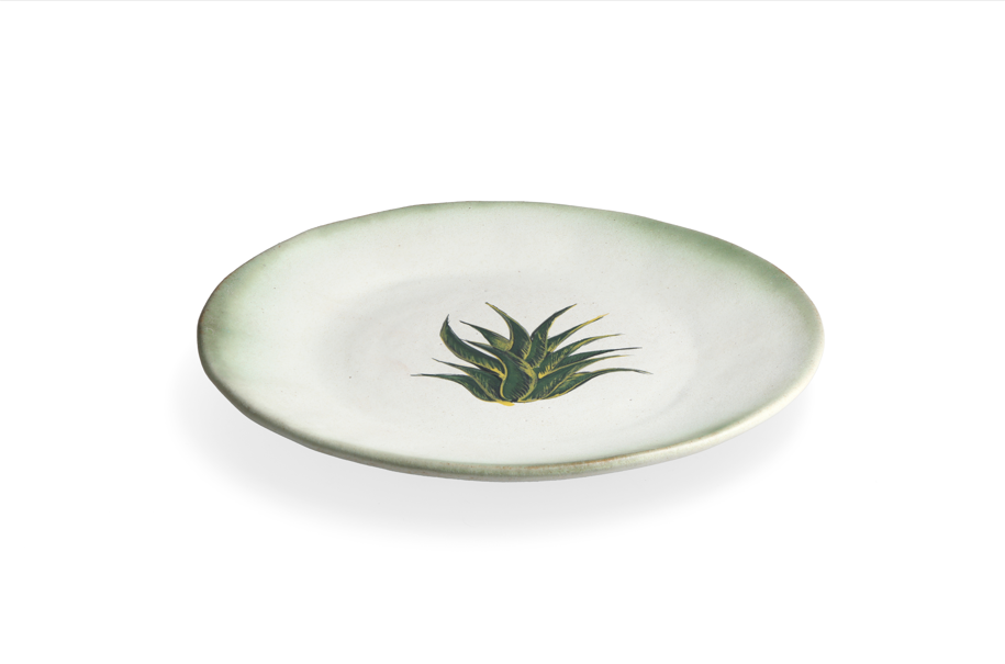 Magic Mushies - Pistara Flat Plate - Aloe