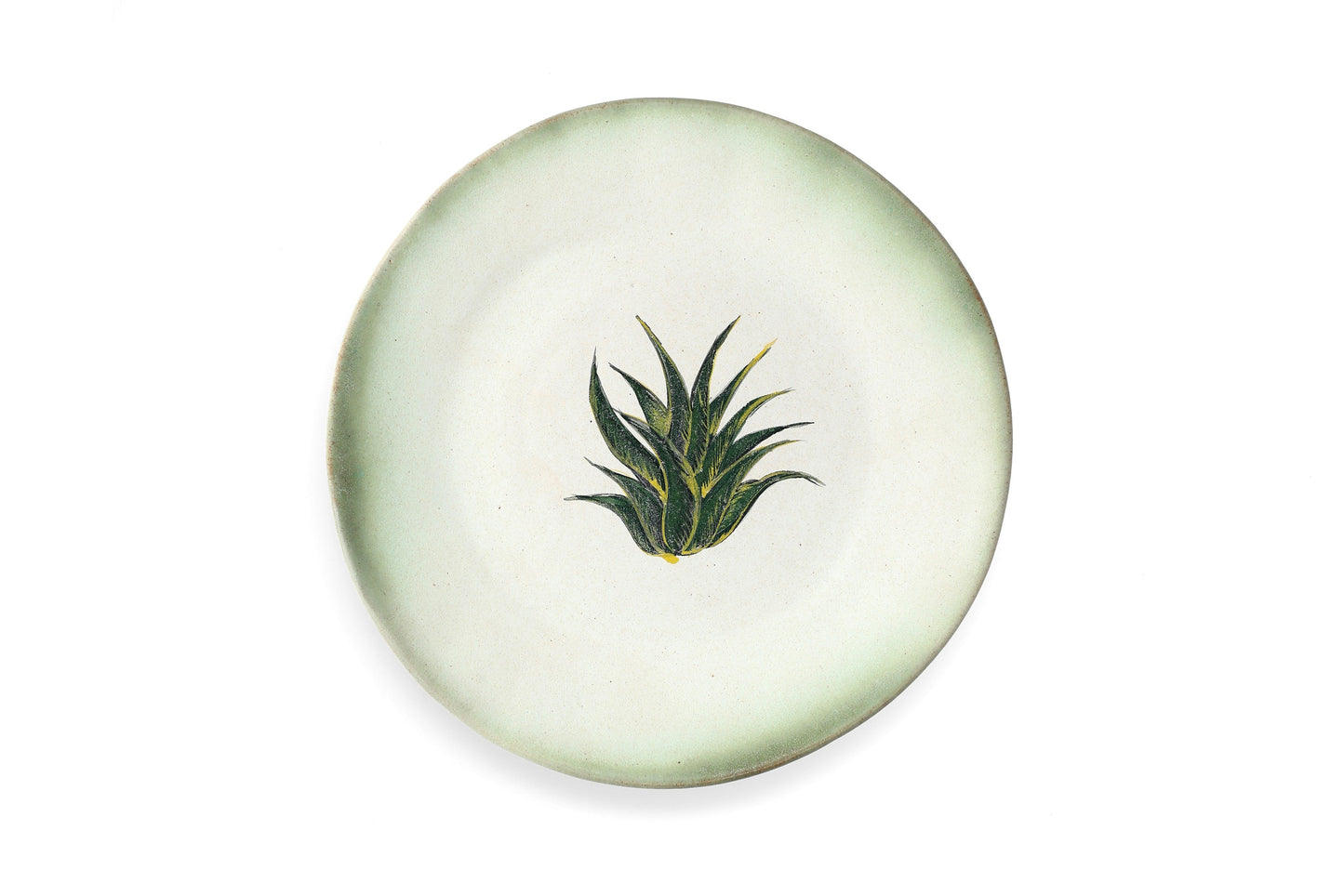 Magic Mushies - Pistara Flat Plate - Aloe