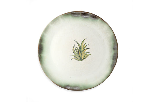 Magic Mushies - Pistara Flat Serving Plate Aloe