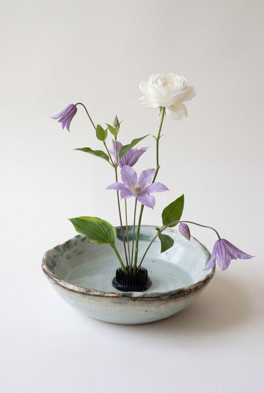 Caves - Sage Bowl