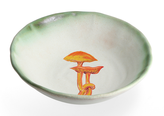 Magic Mushies - Pistara Deep Plate Trio